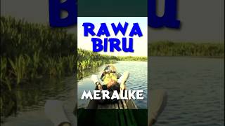 RAWA BIRU youtube indonesia papua merauke sota begundal survey bathymetry adventure perahu [upl. by Olegnad5]