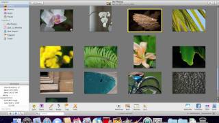 iPhoto Organizing with Events and Albums [upl. by Yaya]