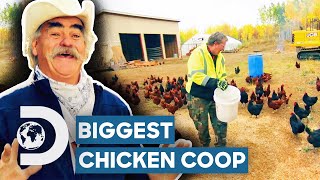 The Biggest Chicken Coop In Homestead History  Homestead Rescue [upl. by Hertha]