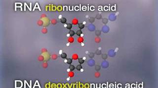 The DNA Obsession 15  Cracking The Code episode 3 [upl. by Dorsy]