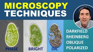 Comparing different Microscopy Techniques [upl. by Reese]