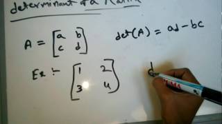 HOW TO SOLVE MATRIX TRACE AND DETERMINANT [upl. by Lazar]