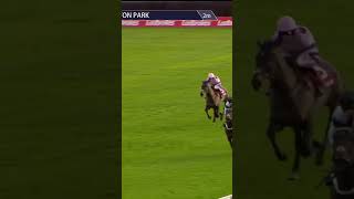 Constitution Hill is back 😍 horse horseracing racingtv sport britishhorseracing [upl. by Adrial]