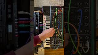 1PWM Malevolent synthesizer and Korg SQ64 sequencer [upl. by Itram]