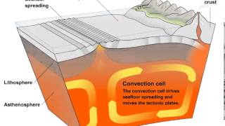 Convection Currents and Tectonic Plate Movement [upl. by Ecinehs]