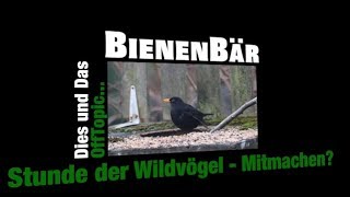 Stunde der Wintervögel 2018  Mitmachen NABU [upl. by Ethelyn]