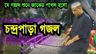 আমি বাবার প্রেমে আকুল  চন্দ্রপাড়া পাক দরবার  চন্দ্রপুরী গজল Ami Babar Preme Akul GOJOL CHANDRAPARA [upl. by Aenal622]