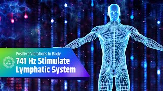 741 Hz Stimulate lymphatic System  Enhance Lymph Flow Detoxification amp Positive Vibrations In Body [upl. by Reagan261]