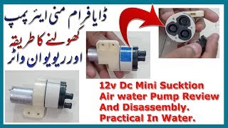 12v DC Diaphragm Sucktion Water Air Pump  Disassembly or Review In water [upl. by Meng]