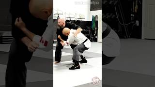 Functional Tegumi  Okinawan Grappling [upl. by Dey]