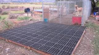 Dog Kennel Floors Using EcoGrid [upl. by Wakeen]