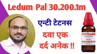 Ledum Palustre  Ledum Pal 302001M Uses in hindi Ledum pal Rheumatism amp Injury [upl. by Lehcem]