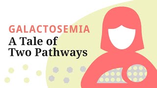 Galactosemia A Tale of Two Pathways—A brief overview of the galactose metabolic pathway [upl. by Danzig]