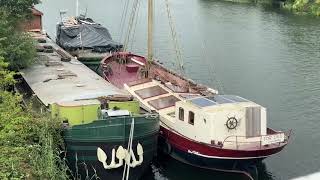 Wilson Dirdal in Sharpness dock Angry swan Very low tide on River Severn [upl. by Aldas]