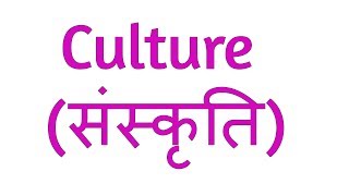 What is Culture In Hindi  संस्कृति क्या है  Sociology [upl. by Ahsinek178]