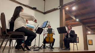 Jes Broeren amp Alari Quartet  Montsalvat Concert Part 1 Brahms Quintet [upl. by Anirtac734]