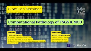 Computational Pathology of FSGS and MCD [upl. by Kassie]