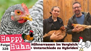 Verschiedene Hühnerrassen im Vergleich Unterschied Hybridhühner und Rassegeflügel HAPPY HUHN E328 [upl. by Nyladnek]