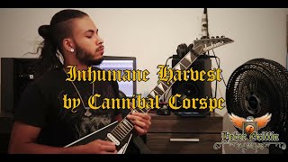 Inhumane Harvest  Cannibal Corpse Solo Cover [upl. by Eemia]