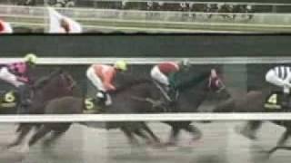 2008 JBCスプリント 園田競馬場 1400m [upl. by Anairuy]