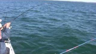 How to Catch Bluefish Bigger Bluefish and More Bluefish  Saltwater Bluefish Fishing [upl. by Sherj]