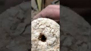 Part 9 How to make Cardboard Briquettes Homemade Press Vs Amazon fire logs bricks [upl. by Cilo]