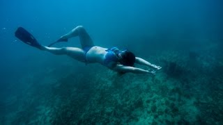 Freediving in Bayahibe Dominican Republic [upl. by Isidoro457]