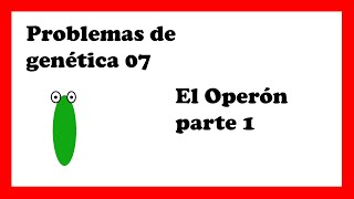 OPERÓN lac control positivo y negativo explicación completa operon lactosa y triptofano [upl. by Joeann]