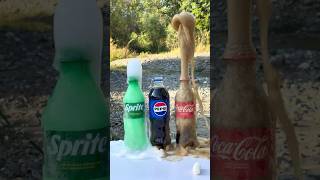 Mentos  Cola Sprite Pepsi Whose Fountain is Higher 😱 mentos cola experiment [upl. by Einahc]