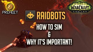 Sim Yourself Raidbots Pawn amp Everything You Need to Know [upl. by Laban]