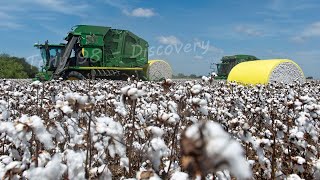 Cotton Cultivation And Harvest Technology  Cotton Processing At The Factory [upl. by Lerud]