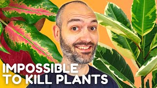 Absolute Top 20 EASIEST Plants to Look After [upl. by Eudoca]