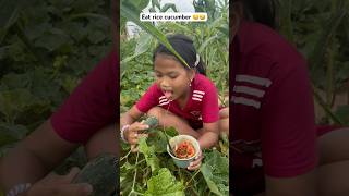 Eat rice cucumber 😂🤤 funny wildrice edit អូសបាក់ [upl. by Puto]