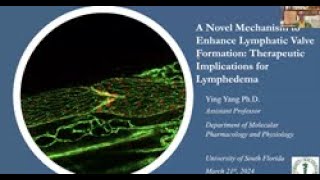 A Novel Mechanism to Enhance Lymphatic Valve Formation Therapeutic Implications for Lymphedema [upl. by Westlund]