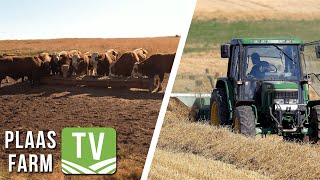 Vplan  n Ekonomiese blik op landbou Farm TV  30 Augustus 2021 [upl. by Ahsirhcal]