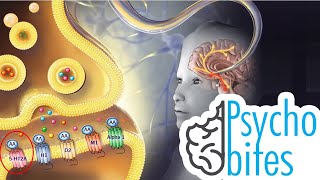 Mechanism of Action of Antipsychotics in Treatmengt of Anxiety [upl. by Horne572]