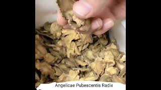 bulk high quality radix angelicae tuhuo natural dried Angelicae Pubescentis Radix herbalrcom [upl. by Peyton]