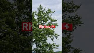 📍Rheinau 🇨🇭 Swiss youtube foryou followme SwitzerlandWeltweitBilderVideo viral like share [upl. by Zaria41]