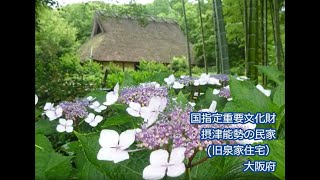 日本民家集落博物館 摂津能勢の民家 解説動画 [upl. by Ailaht]