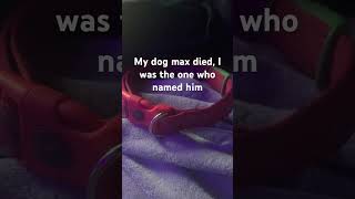 RIP max😢😢 [upl. by Brenda]