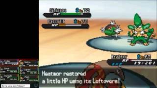 Cilan amp Cress Battle with Chili Challenge Mode  Striaton Gym Leaders  Pokemon Black 2 amp White 2 [upl. by Ula238]