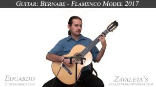 2017 Paulino Bernabe Concert Flamenco Guitar [upl. by Yauqaj978]