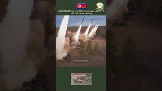 KN25 600 mm MLRS rocket launchers of North Korean army army military [upl. by Corinna529]