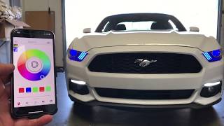 20152017 Ford Mustang GT w RGBWA Multicolor DRL Boards RGBW Demon Eyes w Bluetooth Controller [upl. by Eelyk]