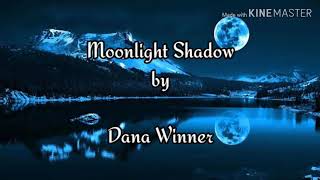 Moonlight Shadow by Dana Winnerwith lyrics [upl. by Leber]