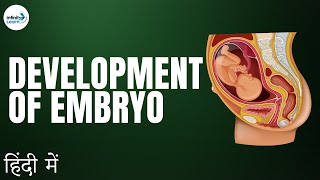 Reproduction  Lesson 06  Development of Embryo  in Hindi हिंदी में   Dont Memorise [upl. by Eelyahs]