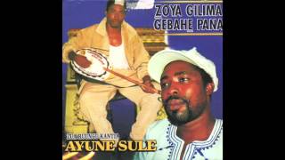 Ayune Sule Ghana Kologo music [upl. by Nek]