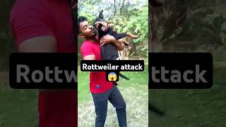 Rottweiler attack😱⚠️ watch till end rottweiler dogbreed doglover rotts titantherott viral [upl. by Whyte429]