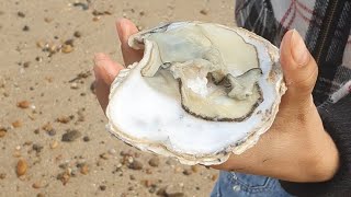 Filipina first time trying fresh oyster in the uk [upl. by Wendye405]