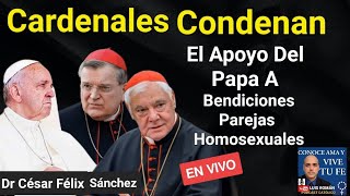 Cardenales Condenan Apoyo Del Papa Bendiciones Contra NATURA y Comunion Divorciados Vueltos A Casar [upl. by Ainoloppa]